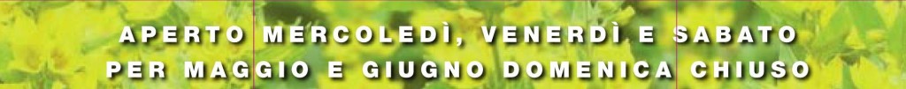 maggio giugno 2017 allegatob